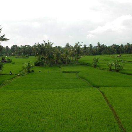 Green Field Hotel And Bungalow Ubud Esterno foto
