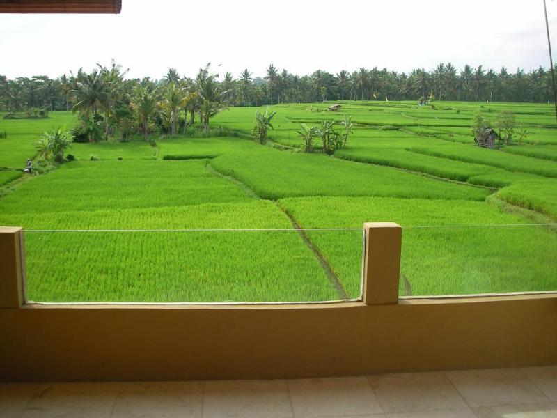 Green Field Hotel And Bungalow Ubud Esterno foto