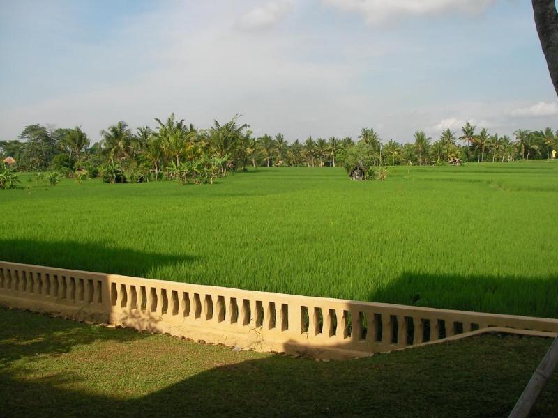 Green Field Hotel And Bungalow Ubud Esterno foto
